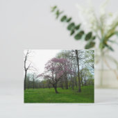 ピンク ポストカード (スタンド正面)