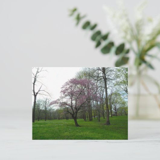 ピンク ポストカード (スタンド正面)