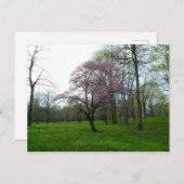 ピンク ポストカード (正面/裏面)