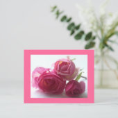 ピンク ポストカード (スタンド正面)