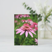 ピンク ポストカード (スタンド正面)