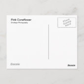 ピンク ポストカード (裏面)