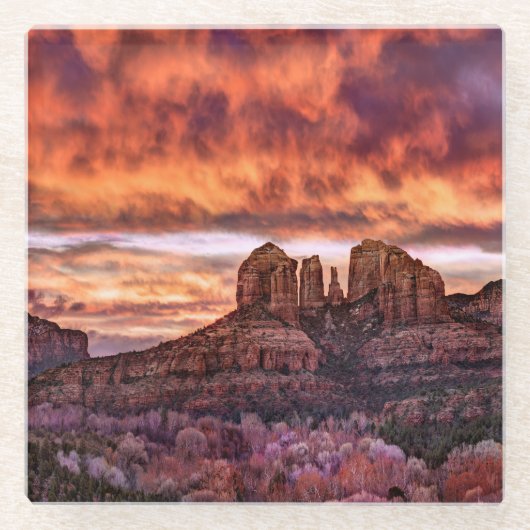 ピンク・モーニング・グローリー ガラスコースター (正面)