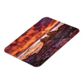 ピンク・モーニング・グローリー マグネット (左側)