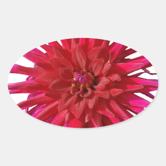 ピンク・リリー 楕円形シール (正面)