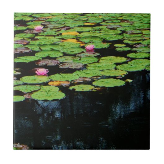 ピンク・ロータスブラック タイル (正面)