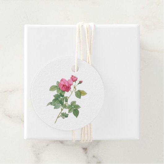 ピンク ヴィンテージ ローズ ボタニカル フェイバータグ (インサイチュ)