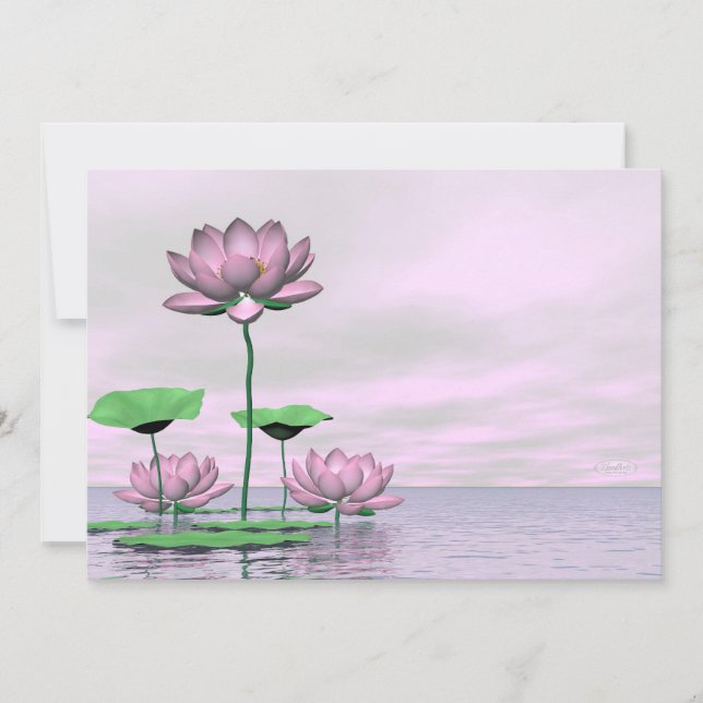 ピンク《植物》スイレンとハスの花 – 3D 描写 (正面)
