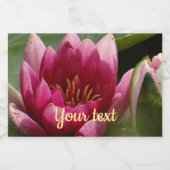 ピンク《植物》スイレン フードラベル (シングルラベル)