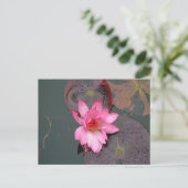 ピンク《植物》スイレン ポストカード (スタンド正面)