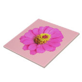 ピンク《植物》百日草の花をセラミックタイルに タイル (側面)