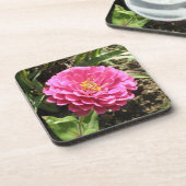 ピンク《植物》百日草コックコースター コースター (左側)