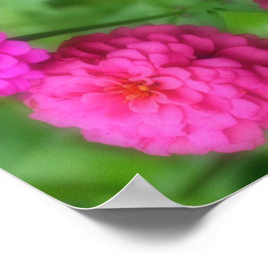 ピンク《植物》百日草フラワーペア抽象芸術 ポスター (角)