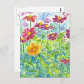 ピンク《植物》百日草ワイルドフラワーウォーターカラーガーデンアート ポストカード (正面/裏面)