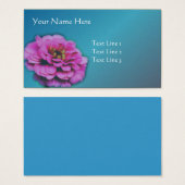 ピンク《植物》百日草花自然 (正面&裏面)