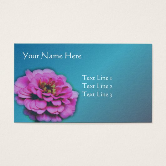 ピンク《植物》百日草花自然 (正面)