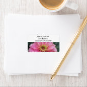 ピンク《植物》百日草花 ラベル (インサイチュ)