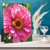 ピンク《植物》百日草 フォトプラーク (側面)