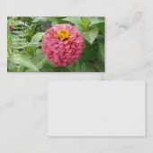 ピンク《植物》百日草 名刺 (正面/裏面)