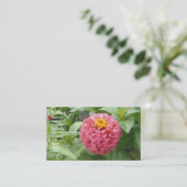 ピンク《植物》百日草 名刺 (スタンド正面)
