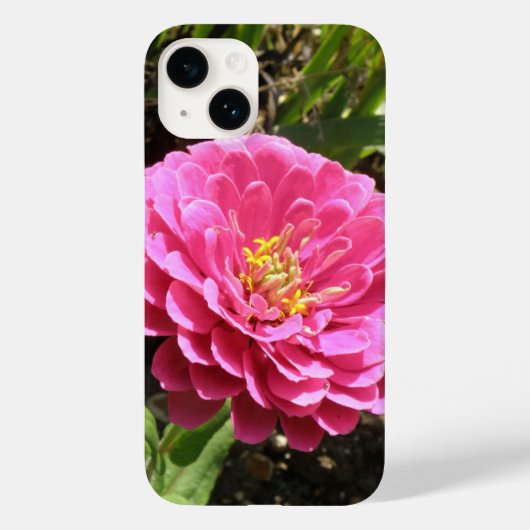 ピンク《植物》百日草iPhone 5ケース Case-Mate iPhoneケース (裏面)