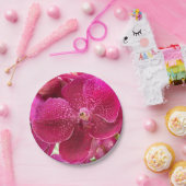 ピンク，白，蘭の花，自然，夏，庭 ペーパープレート (パーティー)