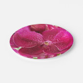 ピンク，白，蘭の花，自然，夏，庭 ペーパープレート (アングル)