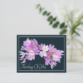 ピンク/紫クロッカスグレー考えるの背景 ポストカード (スタンド正面)