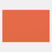 ピンク、緑、オレンジのフローラとパターン ラッピングペーパーシート (正面2)