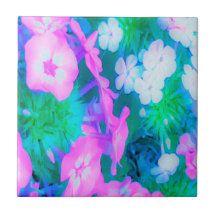 ピンク、緑、青、白のガーデンフロックスの花