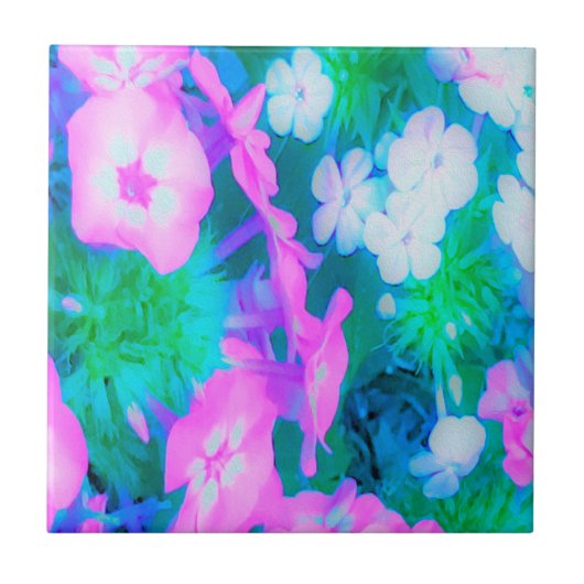 ピンク、緑、青、白のガーデンフロックスの花 タイル (正面)