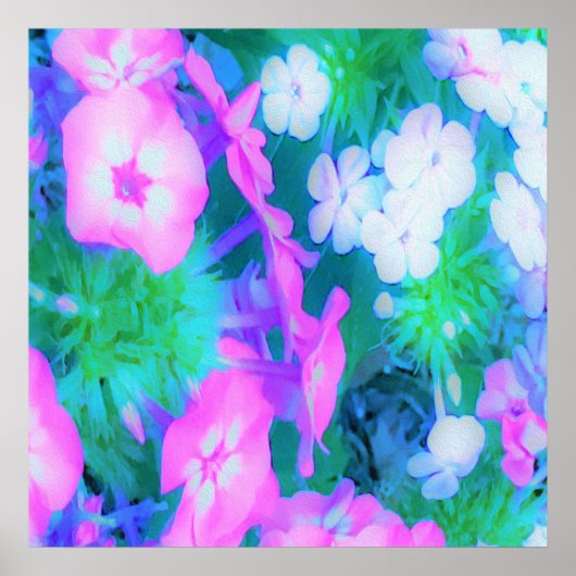 ピンク、緑、青、白のガーデンフロックスの花 ポスター (正面)