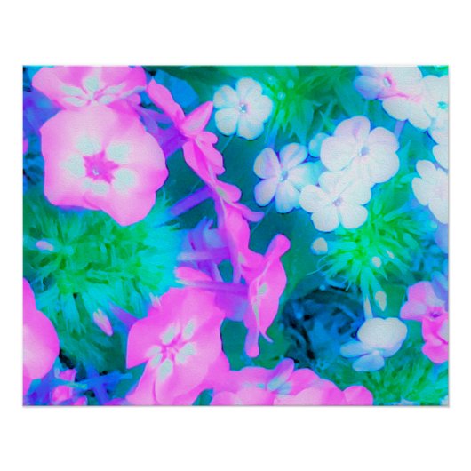 ピンク、緑、青、白のガーデンフロックスの花 ポスター (正面)