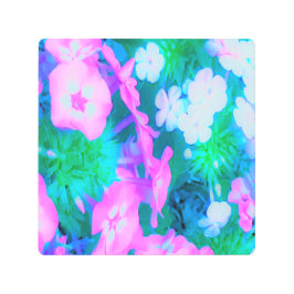 ピンク、緑、青、白のガーデンフロックスの花 メタルプリント