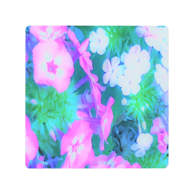 ピンク、緑、青、白のガーデンフロックスの花 メタルプリント (正面)
