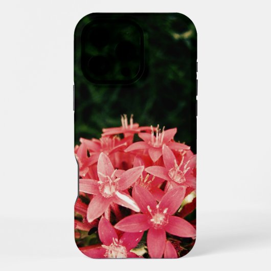 ピンク iPhoneケース (裏面)