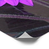 ピンクNパープルひまわりポスター ポスター (角)