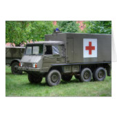 ピンスゴーア712サン (正面横)