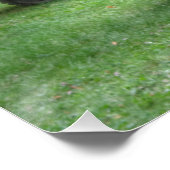 ピンスゴーア712サン ポスター (コーナー)