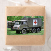 ピンスゴーア712サン ラベル (インサイチュ)