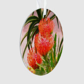 ピンチシオンタンゴ#1オーナメント オーナメント (正面)