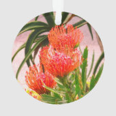 ピンチシオンタンゴ#1オーナメント オーナメント (裏面)