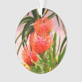 ピンチシオンタンゴ#1オーナメント オーナメント (正面)