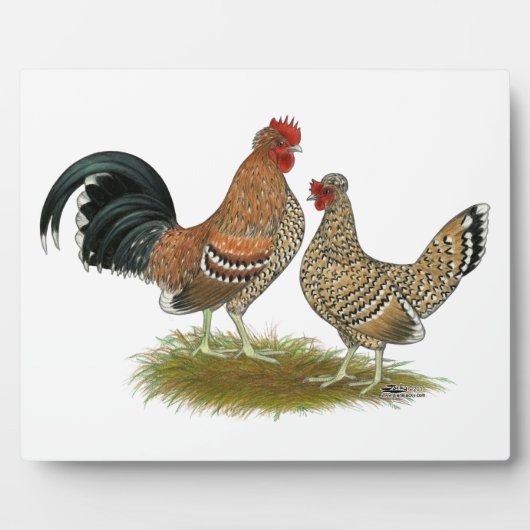 ピンチョンバンタムス フォトプラーク (正面)