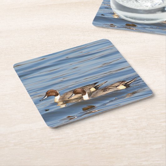 ピンテールアヒル紙コースター スクエアペーパーコースター (アングル)