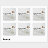 ピンテールダック2011 スクエアシール (シート)