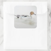 ピンテールダック2011 スクエアシール (バッグ)