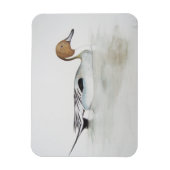 ピンテールダック2011 マグネット (縦)