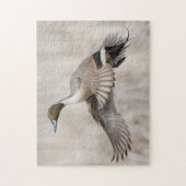 ピンテールドレイク飛行 ジグソーパズル (縦)