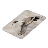 ピンテールドレイク飛行 マグネット (左側)